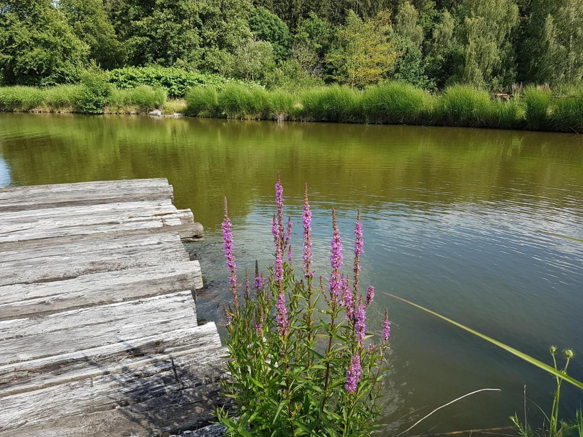 Ferienwohnungen Am Buechlhof Im Oberpfaelzer Seenland 네운부르그포름발트 외부 사진